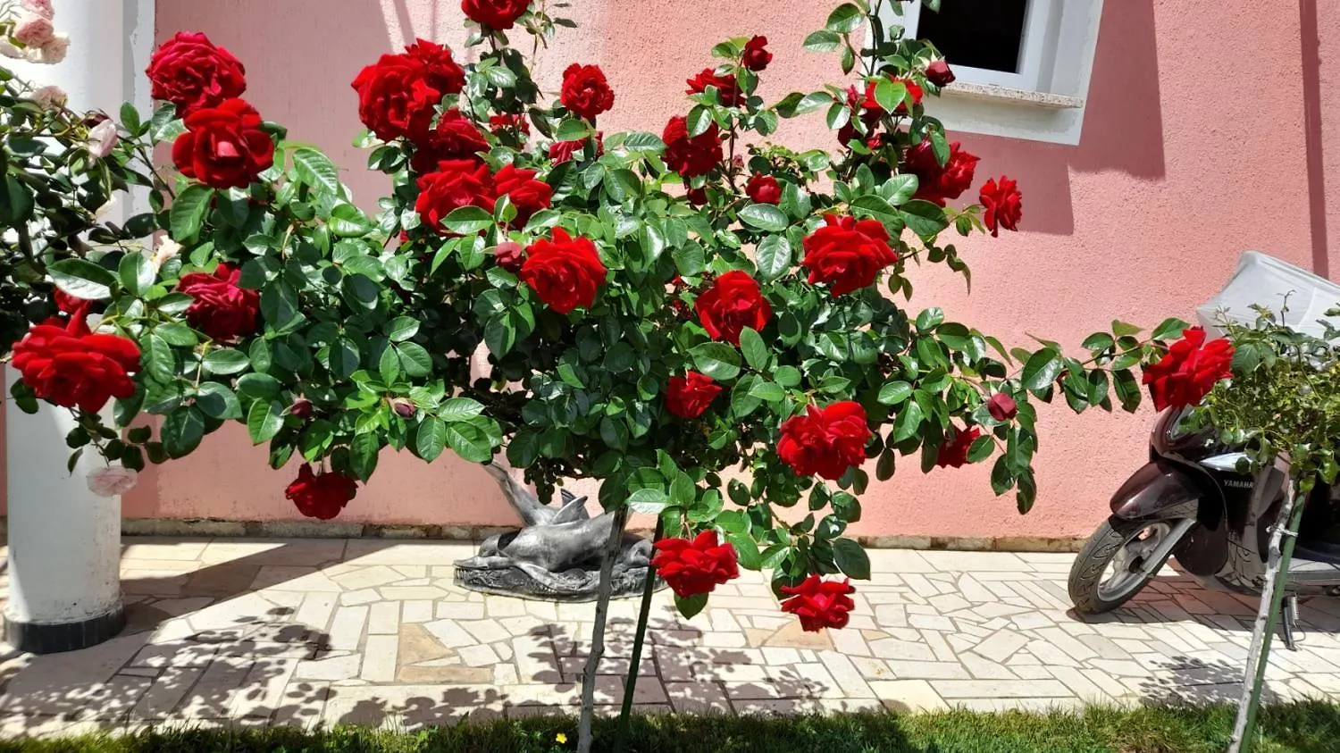 Apartment A5 Porec